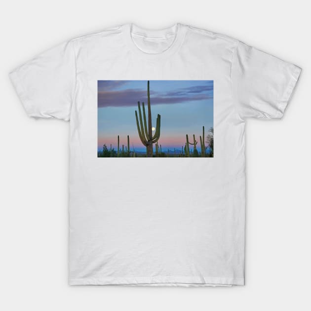 Saguaro And Moon Saguaro National Park T-Shirt by AinisticGina